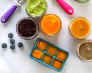 10 healthy baby food purees for infants starting solid foods - Stage 1 recipes