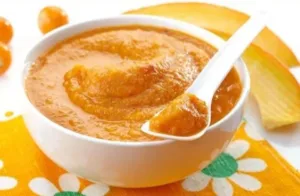 Homemade purees for 1st stage baby food recipes