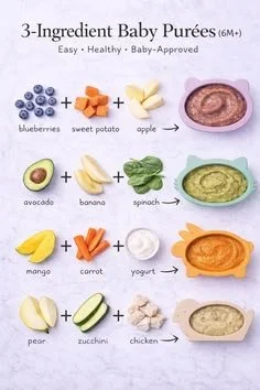 Baby Food Purees for Stage 1 That Make Mealtime Easier and Happier