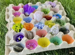 Kids enjoying an Egg Carton Nature Hunt activity outdoors.