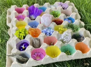 Kids participating in the Egg Carton Nature COLOR Hunt activity to develop color skills.