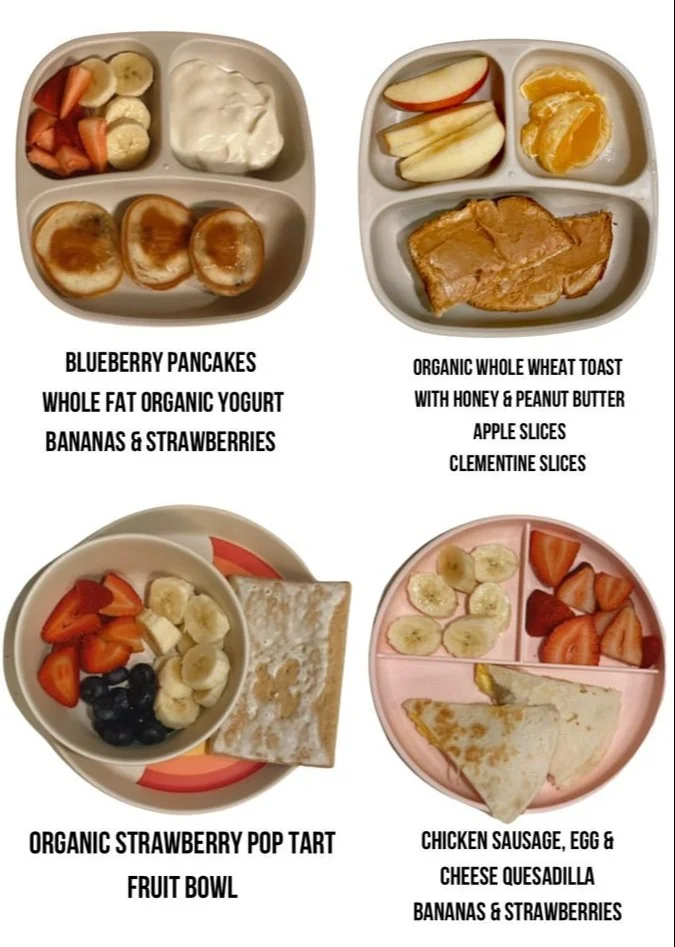 Easy toddler breakfast ideas for busy mornings with nutritious options