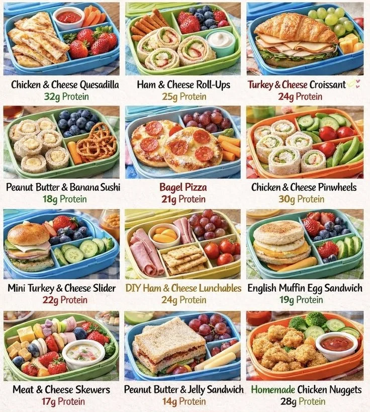 Colorful kid-friendly lunch ideas on a plate, showcasing quick and healthy meals.